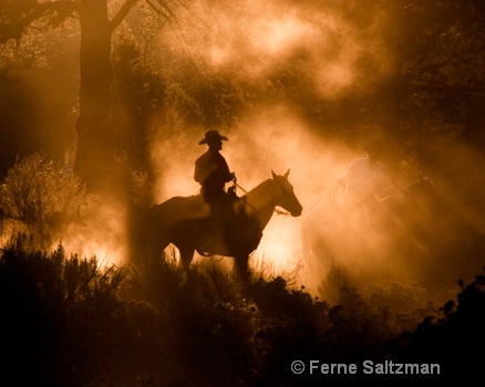 Spirit Rider - ID: 6801833 © Ferne B. Saltzman