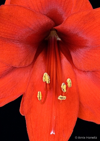 Emerging