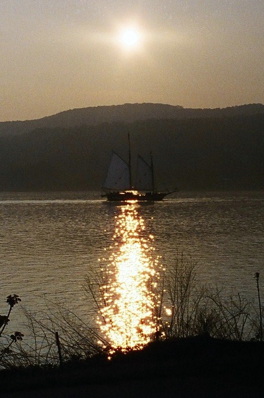 Sunset Sails II