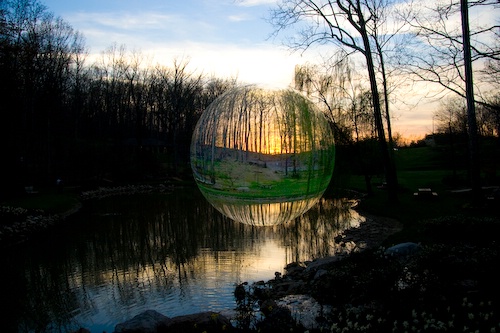 Lesson 7 Bubbles at the Arboretum