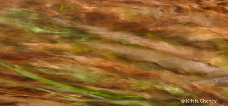Grass in runoff II - ID: 6833662 © Krista Cheney