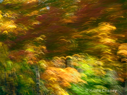 Fall foliage I - ID: 6833695 © Krista Cheney