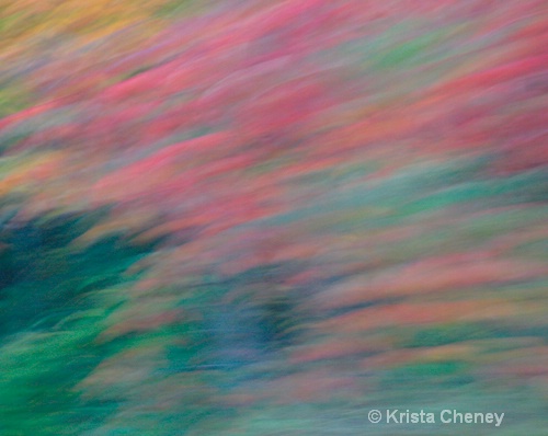 Fall foliage II - ID: 6833714 © Krista Cheney