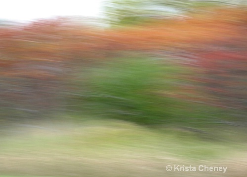 Fall foliage IV - ID: 6833715 © Krista Cheney
