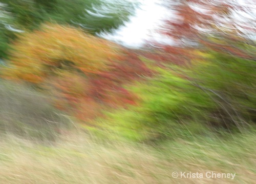 Fall foliage VI - ID: 6833716 © Krista Cheney
