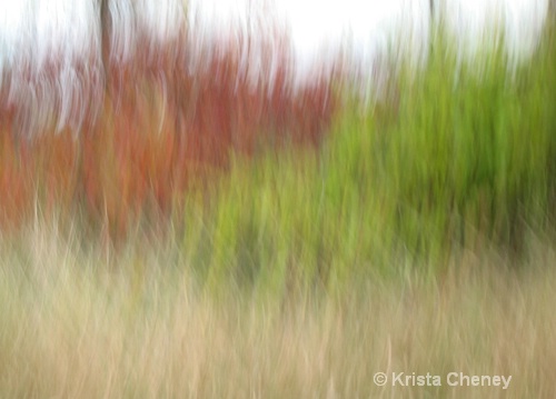 Fall foliage V - ID: 6833717 © Krista Cheney