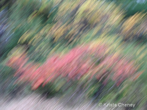 Fall Foliage VII - ID: 6838180 © Krista Cheney