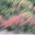 © Krista Cheney PhotoID# 6838180: Fall Foliage VII