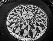Strawberry Fields