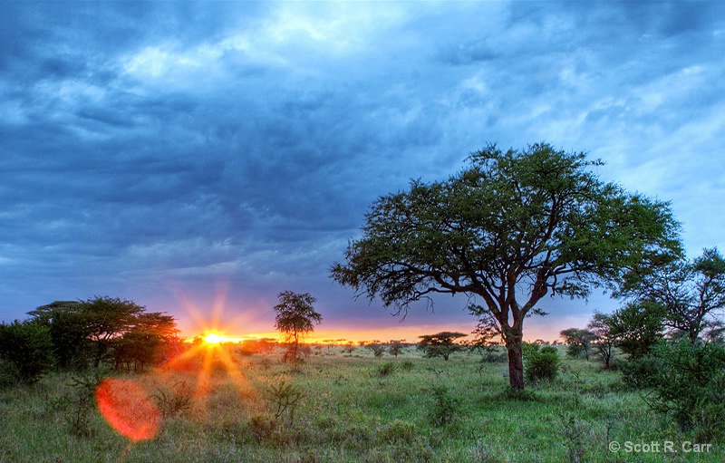 Serengeti Sunrise