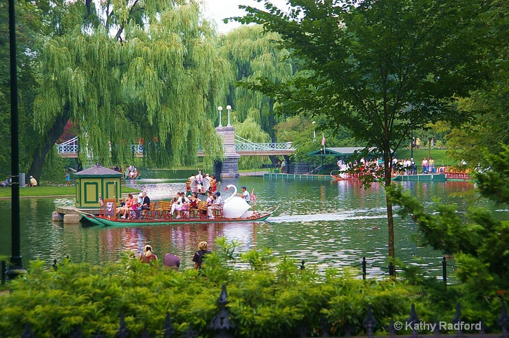Boston's Famous Swan Boat