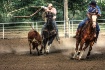 Yee ha
