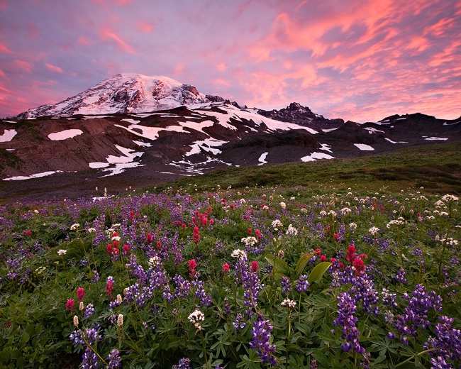 Queen of the Cascades