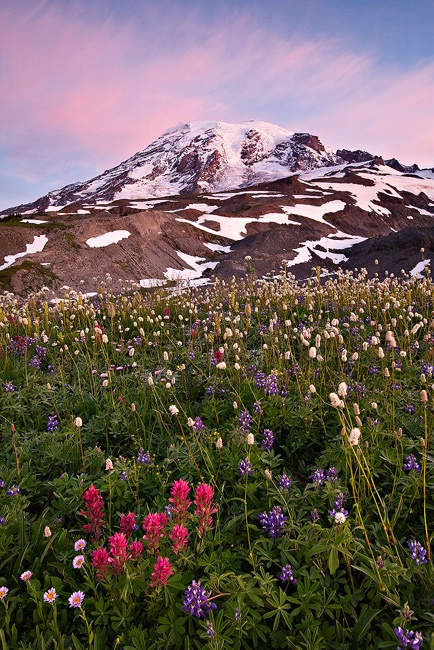 Majestic Rainier