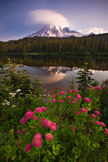 Reflection Lakes, Mt. Rainier National Park