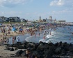 THE JERSEY SHORE