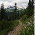 © Patricia A. Casey PhotoID # 6869145: Pinnacle Peak Trail 