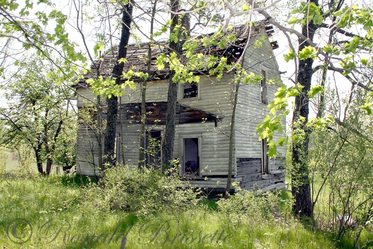 This old house.