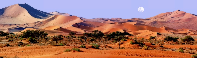 Sossusvlei Dunes Panoramic