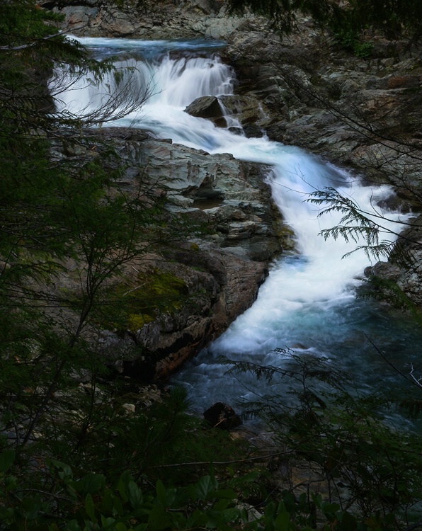 Ohanapecosh River