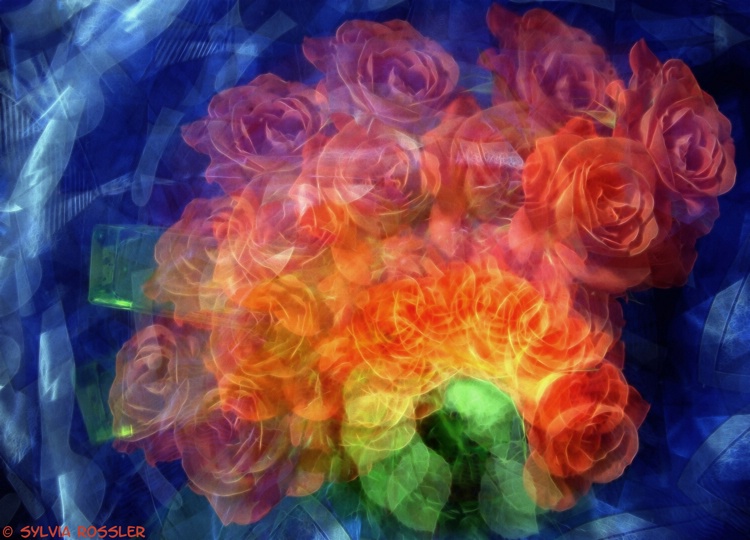 swirling roses