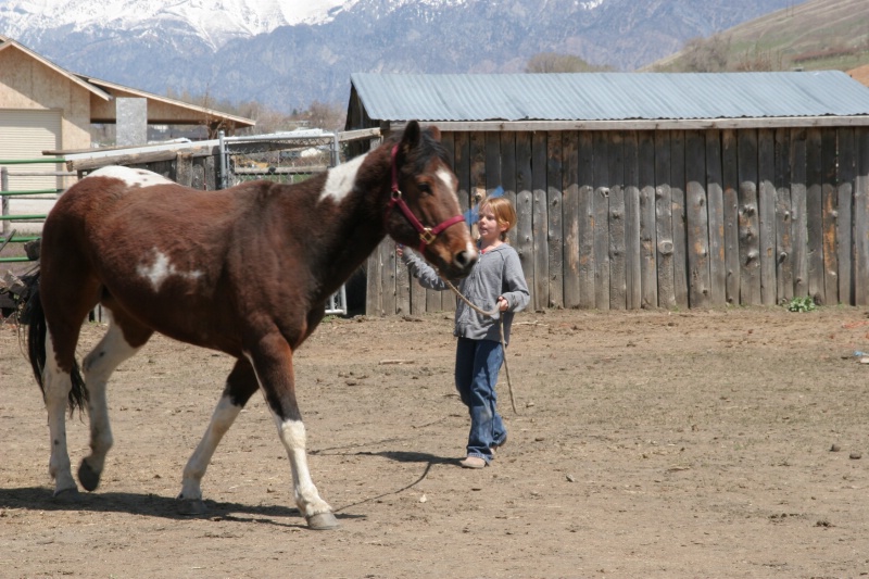 My faverite little horse trainer!!