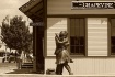 "The Homecomi...