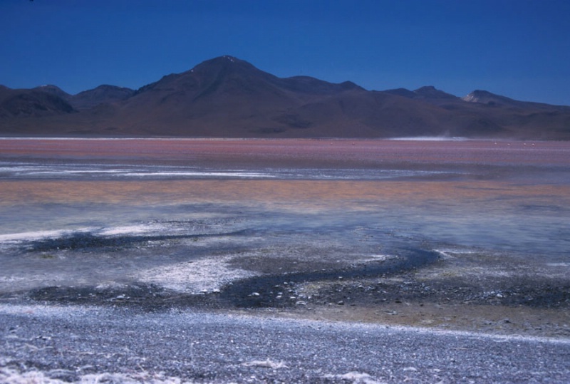Laguna colorada en Boivia. Red lagoon in Bolivia