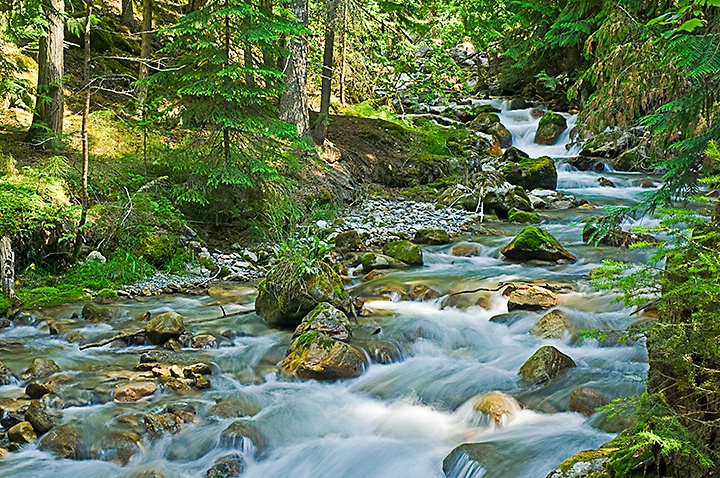 Rocky Mountain Creek