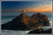 Reef Point
