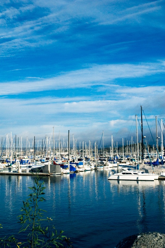 Fisherman's Wharf ~ Monterey, CA - ID: 6893358 © Susan M. Reynolds