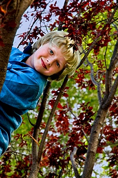 Blue Eyed Boy in Tree
