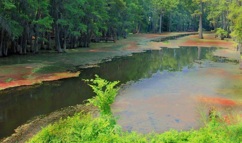 Another Colorful Summer Day On Bayou Desiard