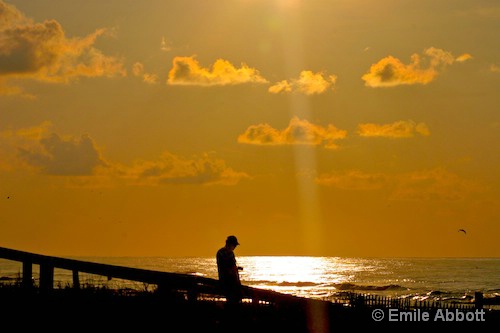 Summer shines for Photographers - ID: 6901592 © Emile Abbott