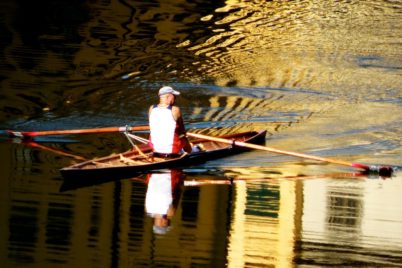 Rowing on River Arno, Florence