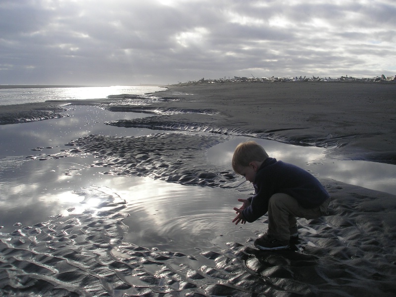 Exploring wet sand - Good to go image"