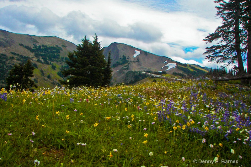 Obstruction Point in Bloom, WA