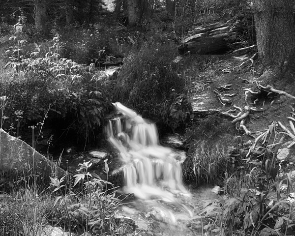 Enchantment Falls B&W