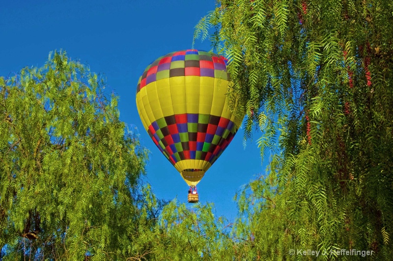 Through the trees - ID: 6915075 © Kelley J. Heffelfinger