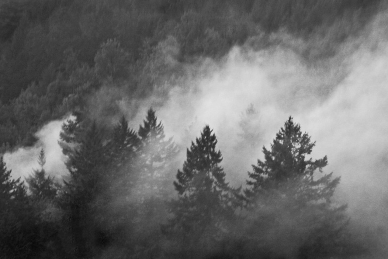 Mountain Fog - ID: 6926133 © Claudia/Theo Bodmer