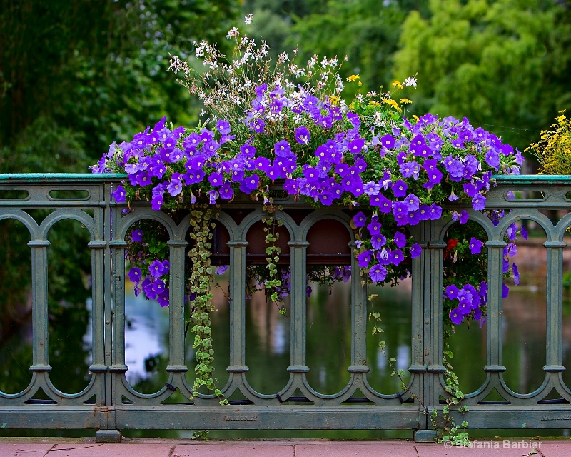 flowers - ID: 6932581 © Stefania Barbier