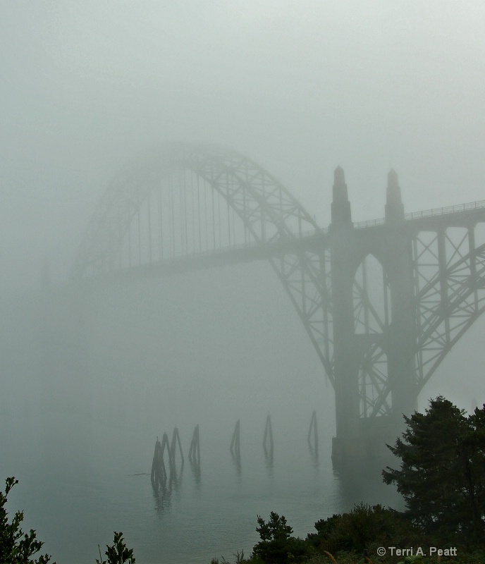 Yaquina Bridge /fog to add mood