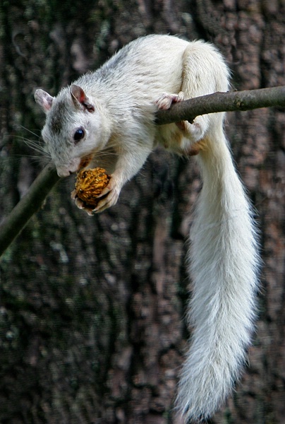 - ID: 6939105 © Steve Owen