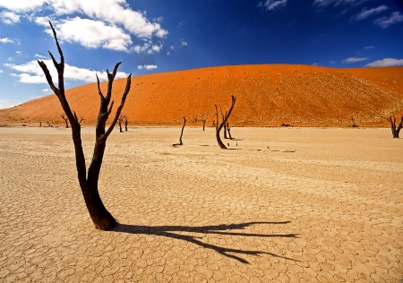 Dead Vlei Shadow