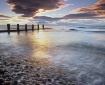 Beach Chatter Fin...