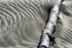 Driftwood