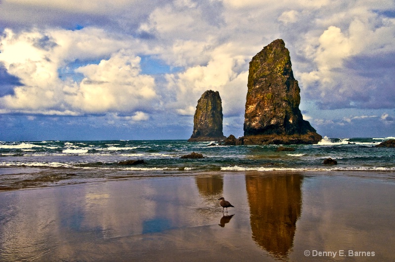 The Needles, Haystack Rock-Oregon - ID: 6967591 © Denny E. Barnes