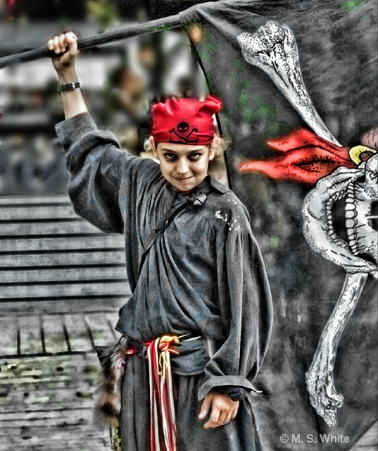 The Young Pirate
