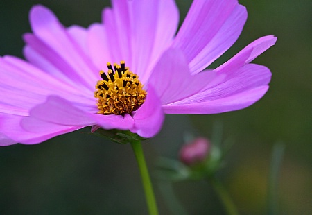 In the Breeze