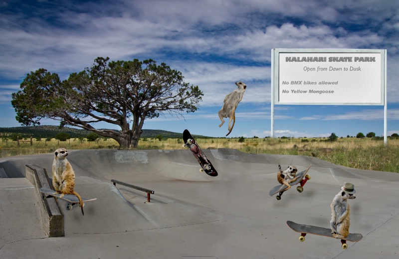 Kalahari Skate Park